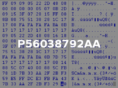 P56038792AA