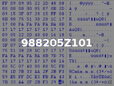 988205Z101
