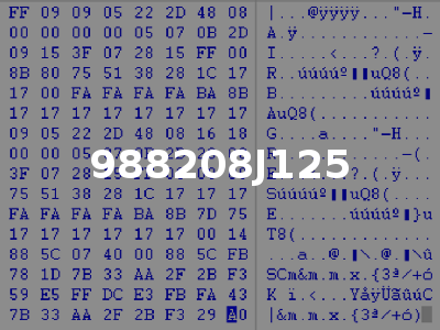 988208J125