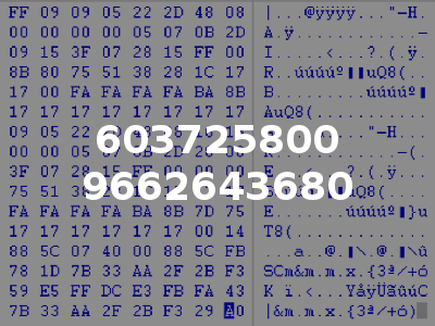 603725800 9662643680