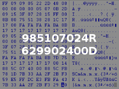 985107024R 629902400D