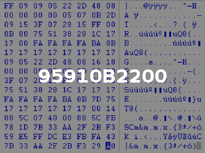 95910B2200