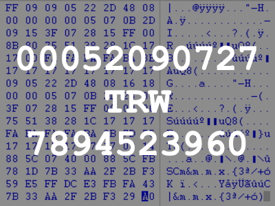 00052090727 TRW 7894523960