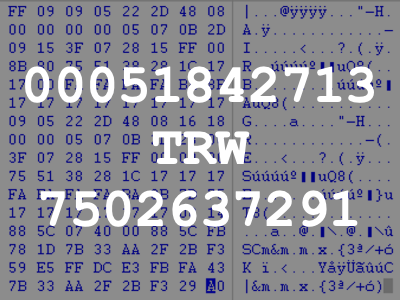 00051842713 TRW 7502637291