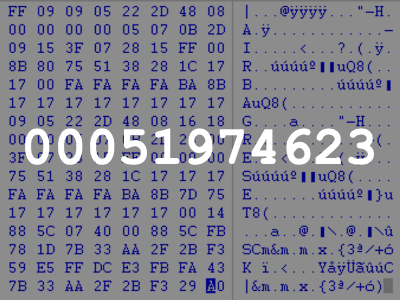 00051974623