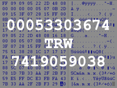 00053303674 TRW 7419059038
