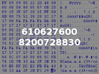 610627600 8200728830