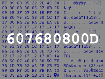 607680800D