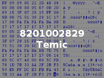 8201002829 Temic