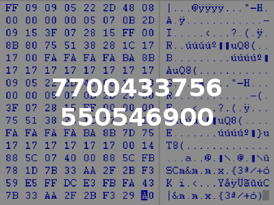7700433756 550546900
