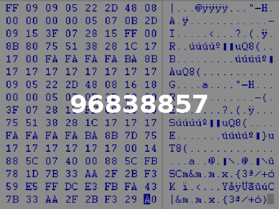 96838857