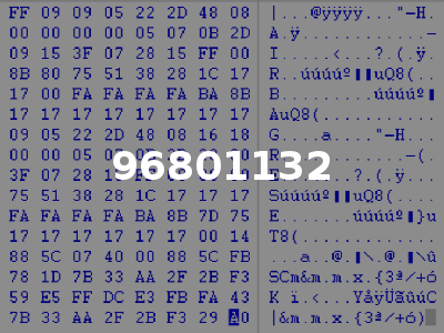 96801132
