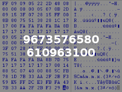 9673576580 610963100