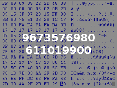 9673576980 611019900