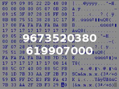 9673520380 619907000