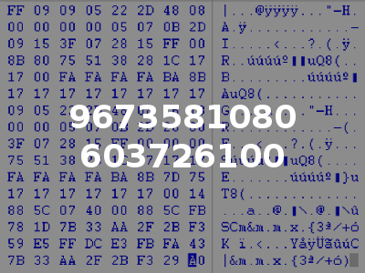 9673581080 603726100