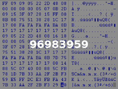 96983959
