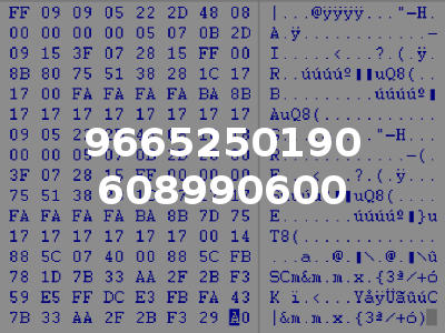 9665250190 608990600