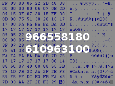 966558180 610963100