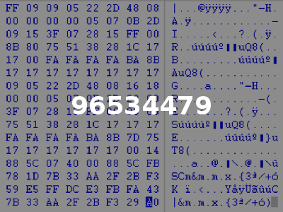96534479