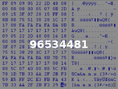 96534481