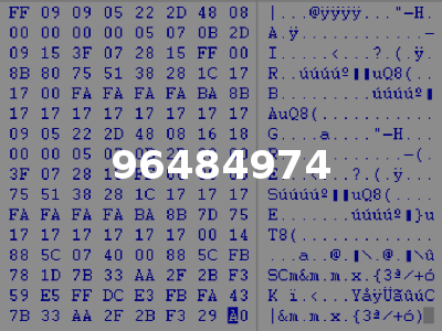 96484974