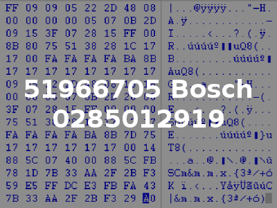 51966705 Bosch 0285012919