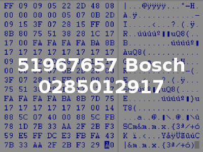 51967657 Bosch 0285012917