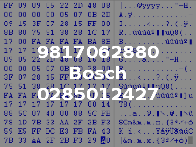 9817062880 Bosch 0285012427
