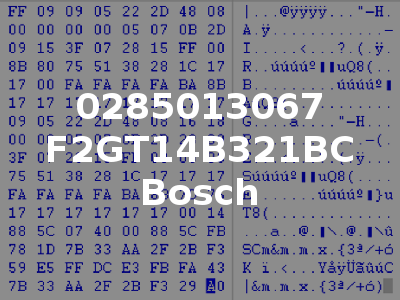 0285013067 F2GT14B321BC Bosch