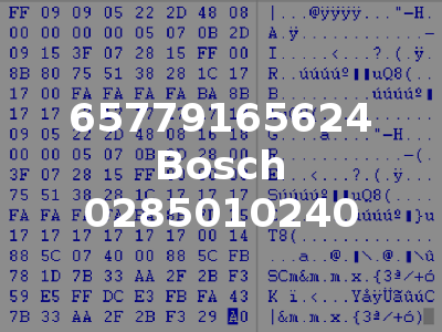 65779165624 Bosch 0285010240