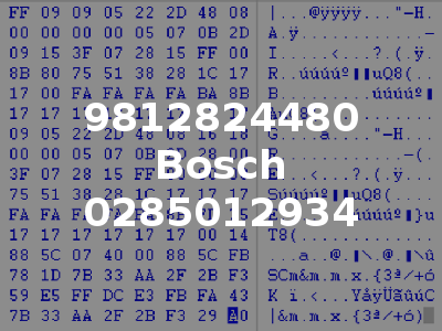 9812824480 Bosch 0285012934
