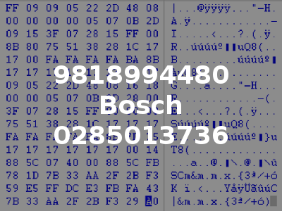 9818994480 Bosch 0285013736