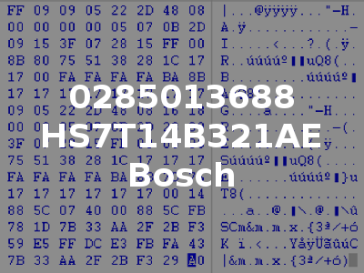 0285013688 HS7T14B321AE Bosch