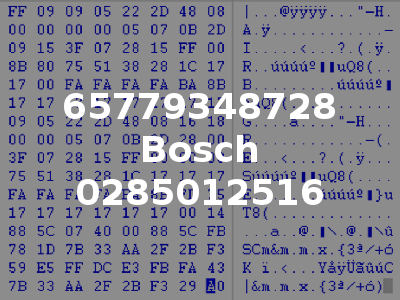 65779348728 Bosch 0285012516