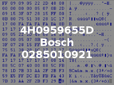 4H0959655D Bosch 0285010921