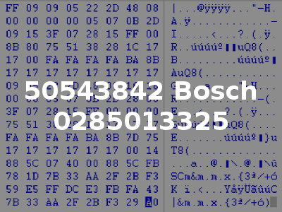 50543842 Bosch 0285013325