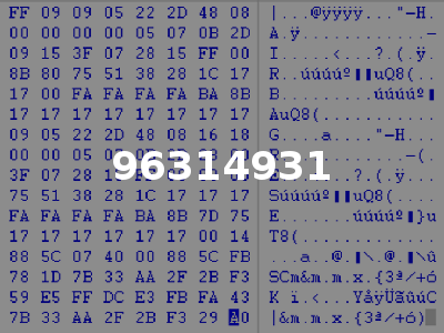 96314931