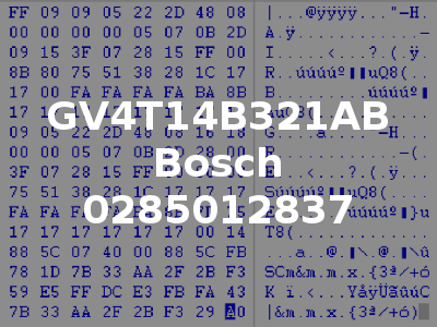 GV4T14B321AB Bosch 0285012837