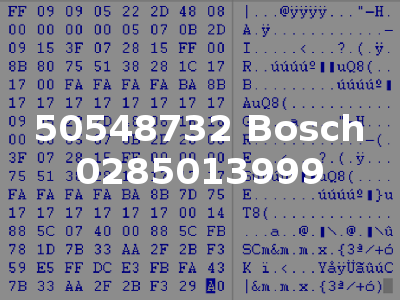 50548732 Bosch 0285013999