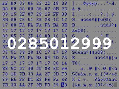 0285012999