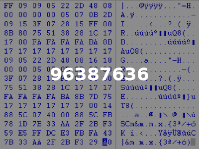 96387636