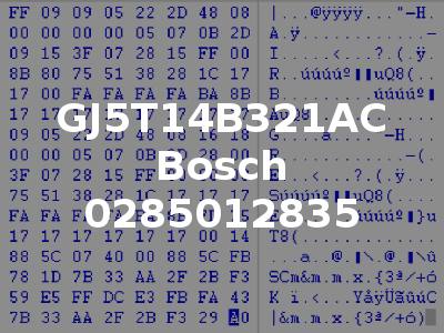 GJ5T14B321AC Bosch 0285012835