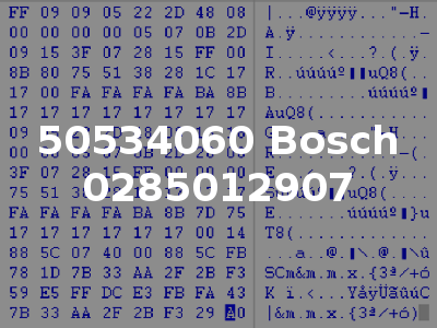 50534060 Bosch 0285012907