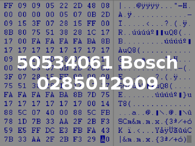 50534061 Bosch 0285012909