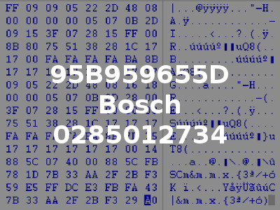95B959655D Bosch 0285012734