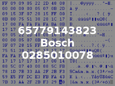 65779143823 Bosch 0285010078