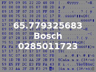 65.779325683 Bosch 0285011723