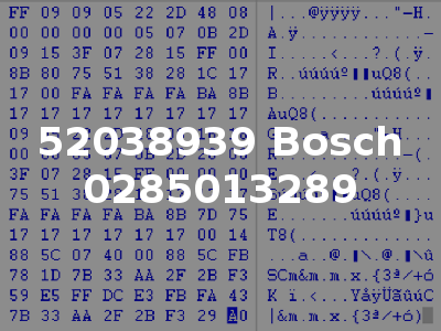 52038939 Bosch 0285013289