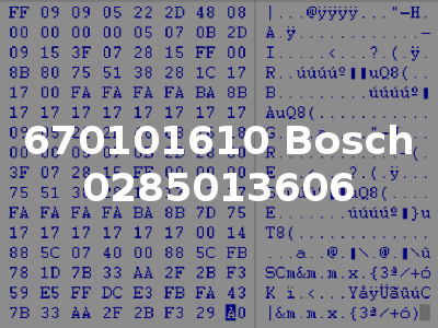 670101610 Bosch 0285013606